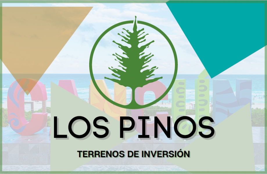 Los Pinos Terrenos de Inversión 6